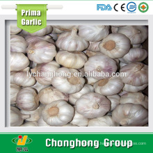 2015 nueva cosecha 6 cm de ajo blanco chino